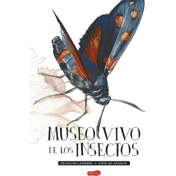 Museo vivo de los insectos: 17 - LASSERRE, FRANÇOIS