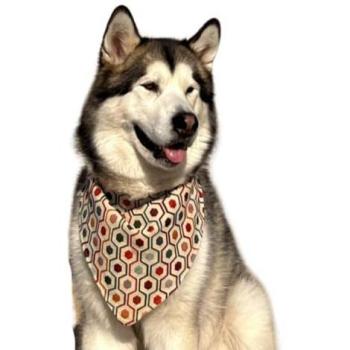 Bandana Boho Geo para Perros UDog | Talla ML + Acceso a Plataforma Educativa ¡Gratis!