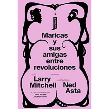 Maricas y sus amigas entre revoluciones: 14