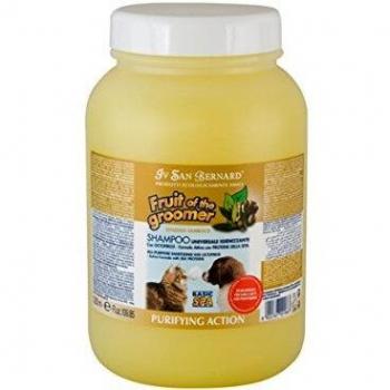 Iv San Bernard 020517 Fruits Champú Zenzero E Sambuco 3250 ml