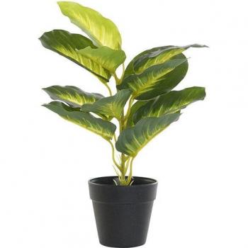 Planta Decorativa Dieffenbachia PVC Polipropileno 25 x 25 x 30 cm