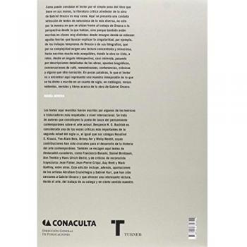 Textos sobre la obra de Gabriel Orozco: Edición ampliada 1993-2013