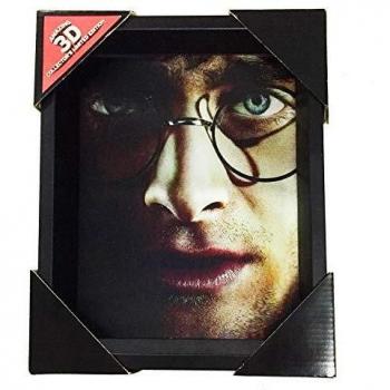 Pyramid Póster 3D Harry / Voldemort 3D - Harry Potter
