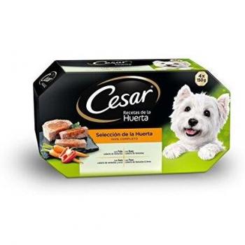 CESAR Multipack Terrine du jardin pour chien - 4 x 150 g