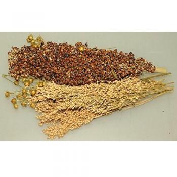 Jr Farm Pick and Fly Suplemento Nutritivo para Pájaros 130 Gr