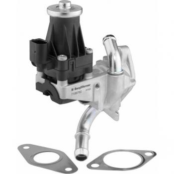 Válvula EGR WAHLER 710979D con función AGR