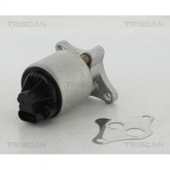 Válvula EGR TRISCAN 8813 24004