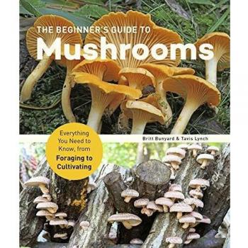 The Beginner's Guide to Mushrooms: Everything You Need to Know, from Foraging to Cultivating