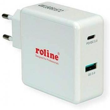 ROLINE - Cargador de 2 Puertos USB con Enchufe Europeo