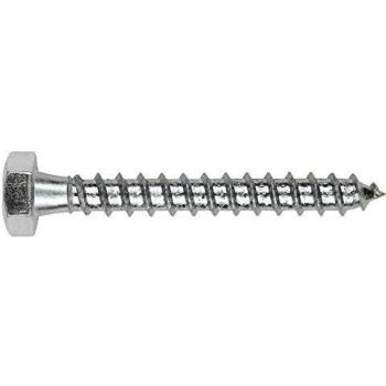 Index TBR10080 - Tornillo tirafondo rosca completa 10x80