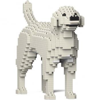 Jekca Labrador Retriever 01S-M06