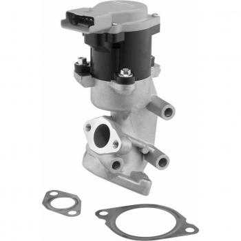 Válvula EGR WAHLER 710984D