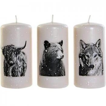Vela DKD Home Decor Blanco Oso