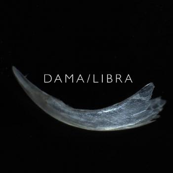 Vinilo Claw - Alta Durabilidad y Resistencia al Agua