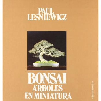 Bonsai. Árboles en miniatura
