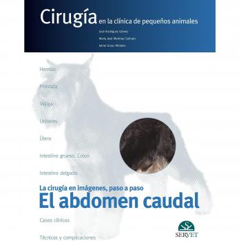 El abdomen caudal. Cirugía en la clínica de pequeños animales - Libros de veterinaria - Editorial Servet