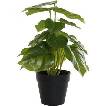 Planta Decorativa Philodendro de PVC y Polipropileno 20 x 20 x 30 cm