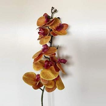 WELLHOME Ramo de orquidea con Tacto Natural de 96 cm en Color Marron