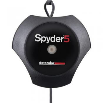 Datacolor Spyder5PRO - Calibrador de Pantalla, Negro