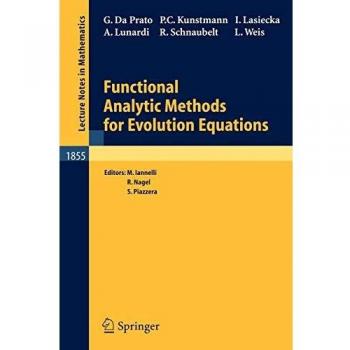 Functional Analytic Methods for Evolution Equations - Roland Schnaubelt