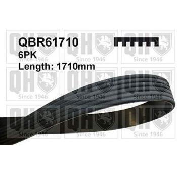 Correa Trapecial Poli V Quinton Hazell QBR61710 para Peugeot 206 3/5 Puertas