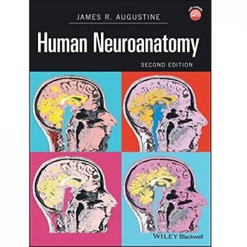 Human Neuroanatomy