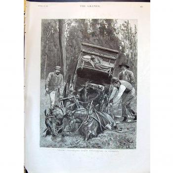 La Impresión Antigua De 1890 Que Viajaba Debajo de los Caballos de Tasmania de las Dificultades Pegó Tra...