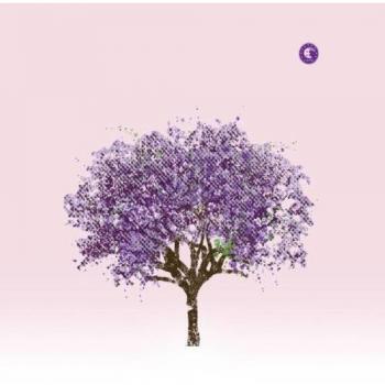 Tomorrow Morning - Inclus 45 Tracks Bonus Album