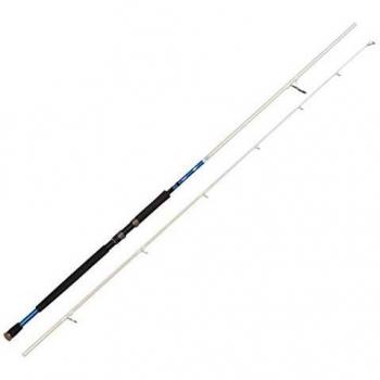 Savage Gear CAÑA Spinning Null Salt 1DFR Shore Jigging Null - 278, 274, 2, 142, 80-150