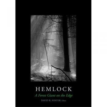 Hemlock: A Forest Giant on the Edge