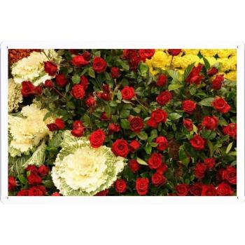 Metal cartel Cartel de chapa Hojalata sesión Flower Tin Sign Roses Flowers Red Many Drops Water 34035 Retro Vintage Pared Decoración by hamgaacaan