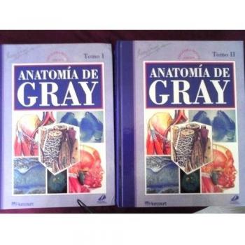 Anatomia de gray