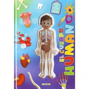 El cuerpo humano por dentro