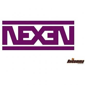 Nexen WinGuard Ice SUV 265/65 R17 112Q 4PR