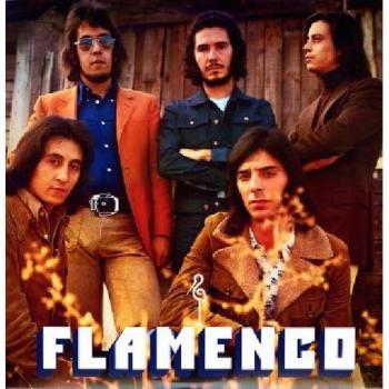 Flamenco LP Vinyl Record 180g - World Music Edition