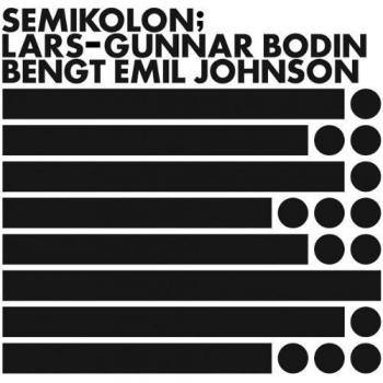 Semikolon Vinyl Organizer