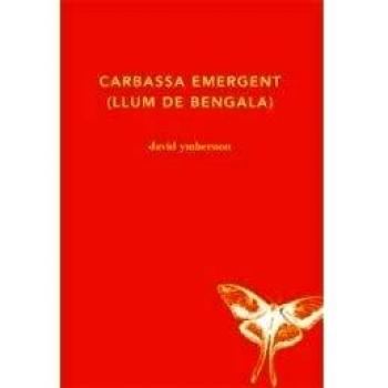 Carbassa emergent - David Ymbernon