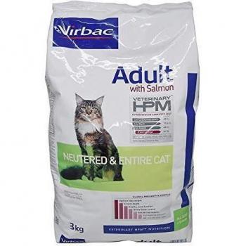 Adult salmon cat 3 kg hpm neutered & entire