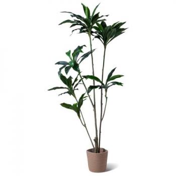 Planta Artificial Dracaena en Maceta 150 cm - Frankystar