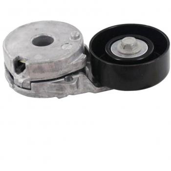SKF VKM 62025 Kit tensor multi-V