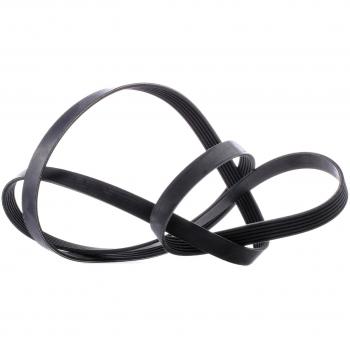 Correa trapecial poli V FEBI BILSTEIN 29013