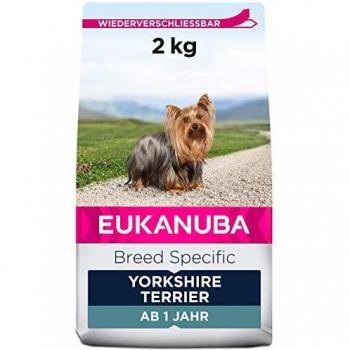 Eukanuba Adult Yorkshire Terrier Chicken Dry Dog Food