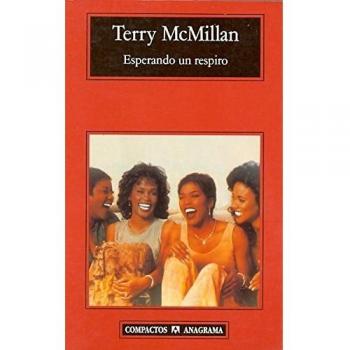 Esperando un respiro - Terry Mcmillan
