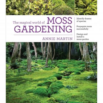 Magical World of Moss Gardening