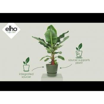 Maceta Redonda Elho Verde Ø 55 cm - Plástico 100% Reciclado con Depósito de Agua para Interior y Exterior