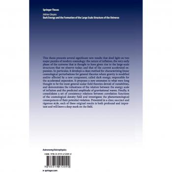 Dark Energy and the Formation of the Large Scale Structure of the Universe