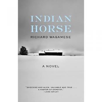 Indian Horse