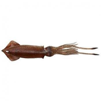 Savage Gear 3D TPE Swim Squid 180MM 58GR Red Brown