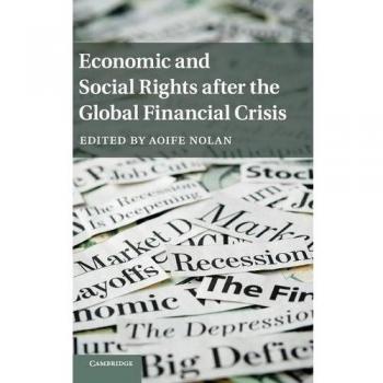 Economic and Social Rights after the Global Financial Crisis