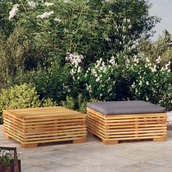Juego de muebles de jardín 2 piezas madera maciza de teca vidaXL